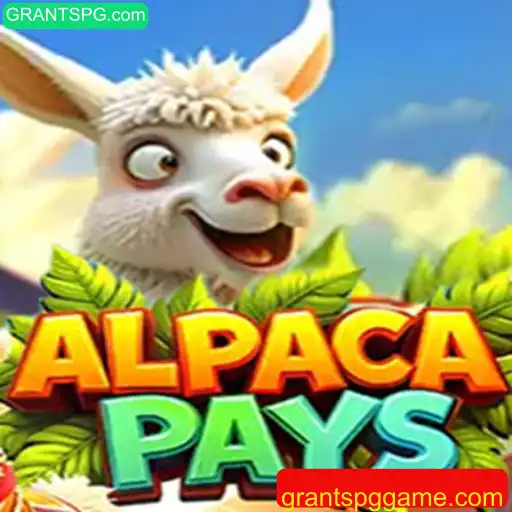Descubra a Aventura Empolgante de AlpacaPays